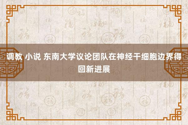 调教 小说 东南大学议论团队在神经干细胞边界得回新进展