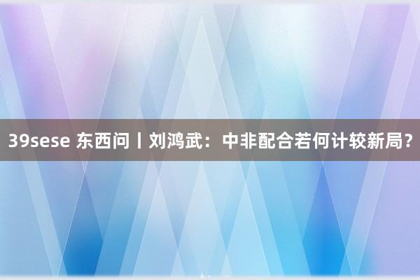 39sese 东西问丨刘鸿武：中非配合若何计较新局？