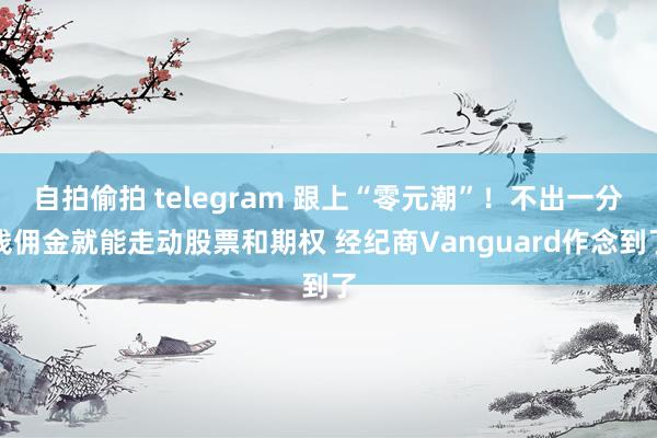 自拍偷拍 telegram 跟上“零元潮”！不出一分钱佣金就能走动股票和期权 经纪商Vanguard作念到了