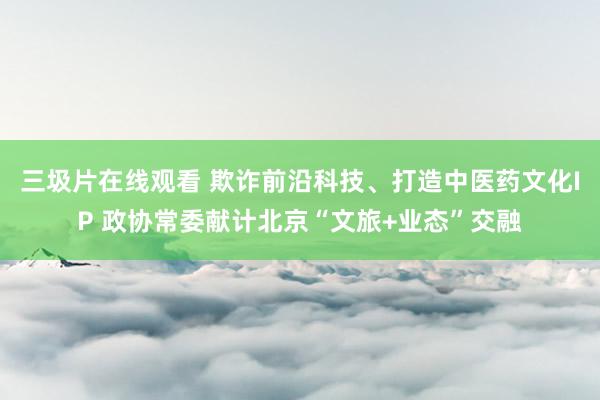 三圾片在线观看 欺诈前沿科技、打造中医药文化IP 政协常委献计北京“文旅+业态”交融