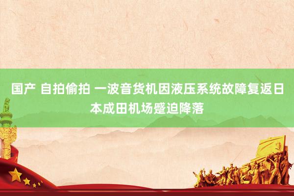 国产 自拍偷拍 一波音货机因液压系统故障复返日本成田机场蹙迫降落