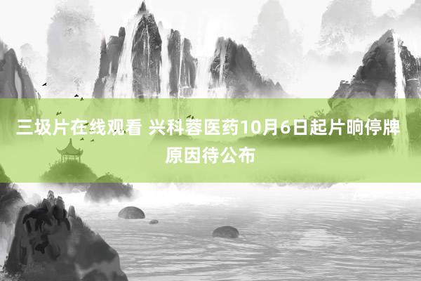 三圾片在线观看 兴科蓉医药10月6日起片晌停牌 原因待公布