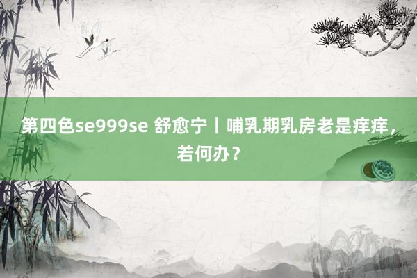 第四色se999se 舒愈宁丨哺乳期乳房老是痒痒，若何办？