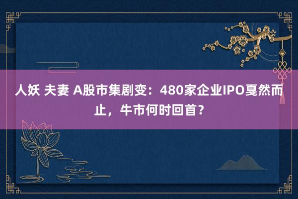 人妖 夫妻 A股市集剧变：480家企业IPO戛然而止，牛市何时回首？