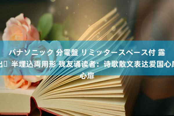 パナソニック 分電盤 リミッタースペース付 露出・半埋込両用形 残友诵读者：诗歌散文表达爱国心扉