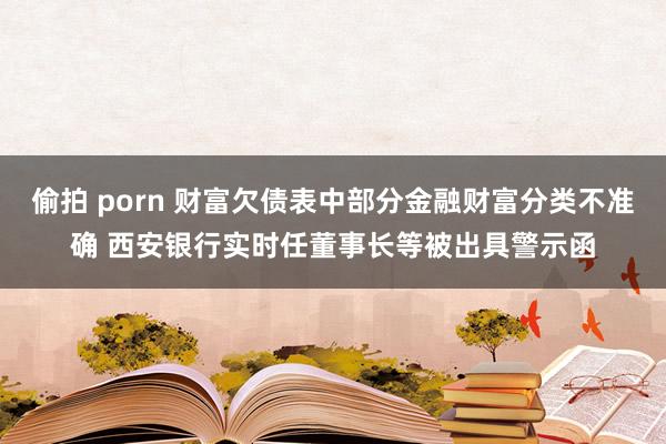 偷拍 porn 财富欠债表中部分金融财富分类不准确 西安银行实时任董事长等被出具警示函