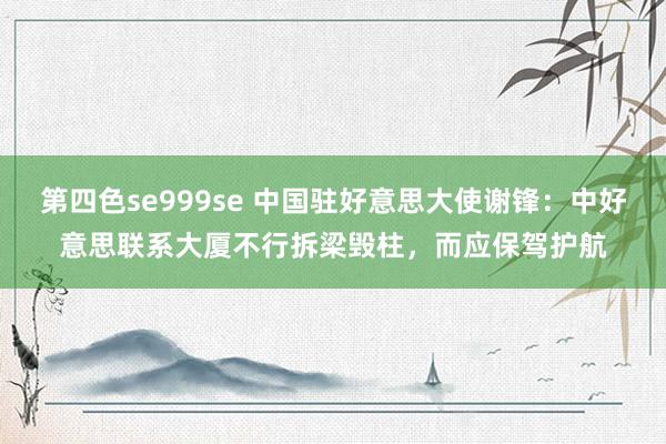 第四色se999se 中国驻好意思大使谢锋：中好意思联系大厦不行拆梁毁柱，而应保驾护航