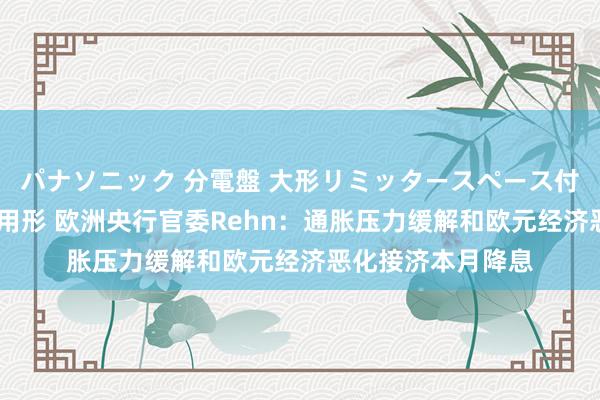 パナソニック 分電盤 大形リミッタースペース付 露出・半埋込両用形 欧洲央行官委Rehn：通胀压力缓解和欧元经济恶化接济本月降息