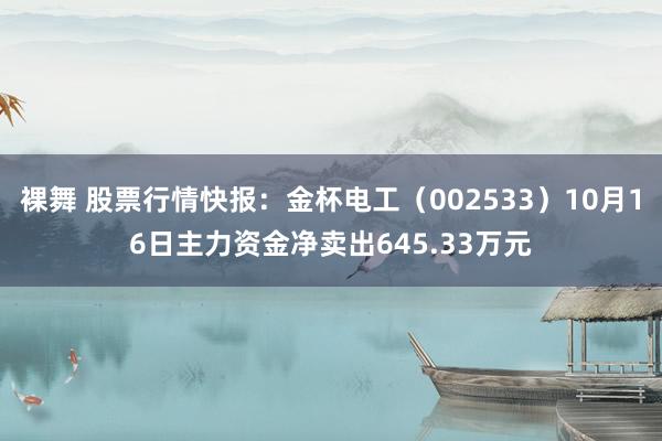 裸舞 股票行情快报：金杯电工（002533）10月16日主力资金净卖出645.33万元