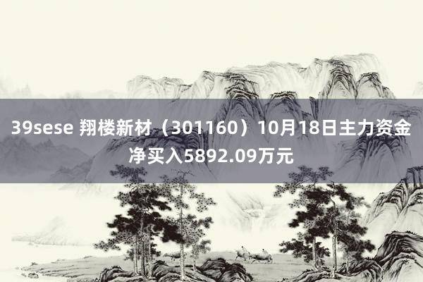 39sese 翔楼新材（301160）10月18日主力资金净买入5892.09万元