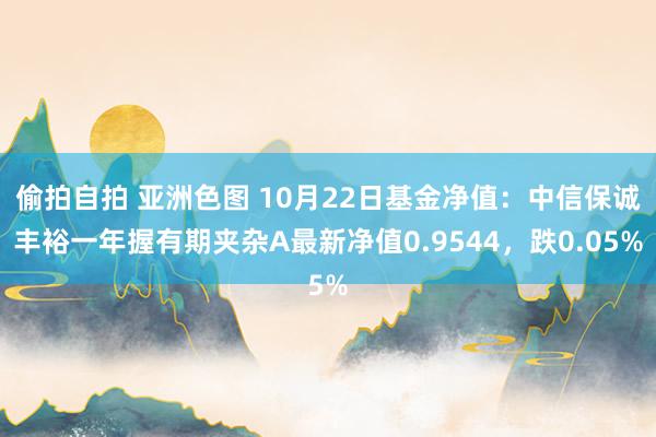 偷拍自拍 亚洲色图 10月22日基金净值：中信保诚丰裕一年握有期夹杂A最新净值0.9544，跌0.05%