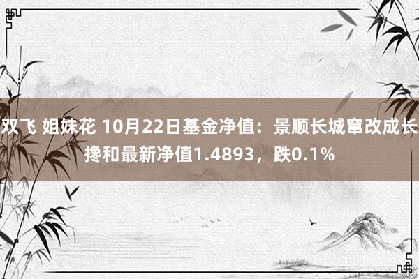 双飞 姐妹花 10月22日基金净值：景顺长城窜改成长搀和最新净值1.4893，跌0.1%