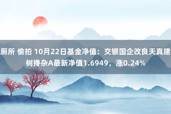 厕所 偷拍 10月22日基金净值：交银国企改良天真建树搀杂A最新净值1.6949，涨0.24%