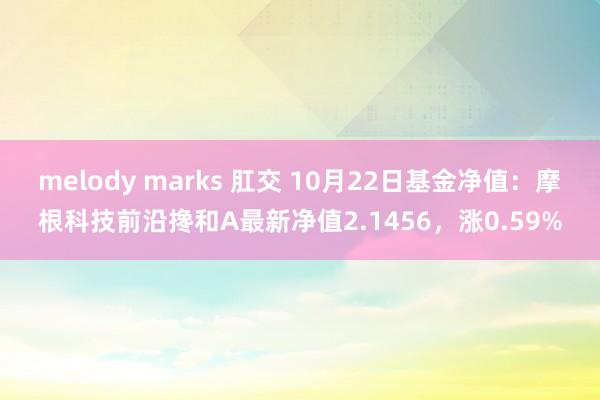 melody marks 肛交 10月22日基金净值：摩根科技前沿搀和A最新净值2.1456，涨0.59%