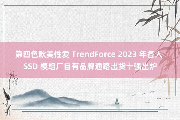 第四色欧美性爱 TrendForce 2023 年各人 SSD 模组厂自有品牌通路出货十强出炉