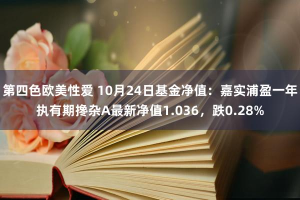 第四色欧美性爱 10月24日基金净值：嘉实浦盈一年执有期搀杂A最新净值1.036，跌0.28%