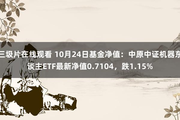 三圾片在线观看 10月24日基金净值：中原中证机器东谈主ETF最新净值0.7104，跌1.15%