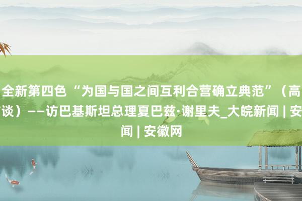 全新第四色 “为国与国之间互利合营确立典范”（高端访谈）——访巴基斯坦总理夏巴兹·谢里夫_大皖新闻 | 安徽网