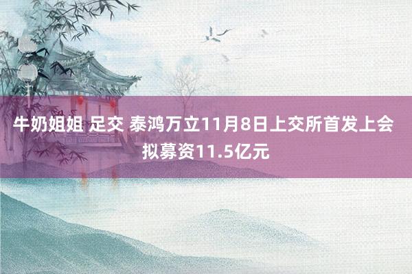 牛奶姐姐 足交 泰鸿万立11月8日上交所首发上会 拟募资11.5亿元