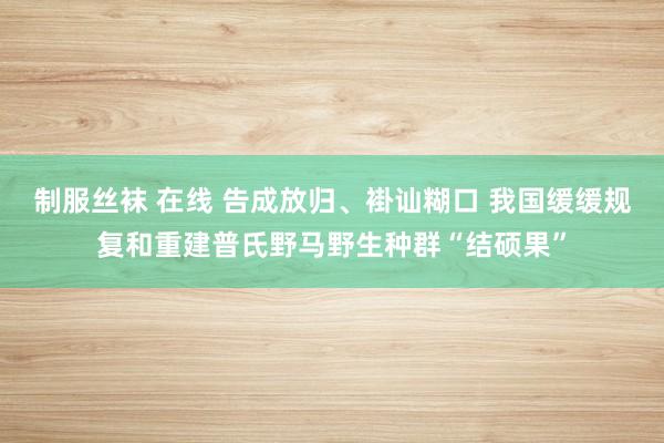 制服丝袜 在线 告成放归、褂讪糊口 我国缓缓规复和重建普氏野马野生种群“结硕果”