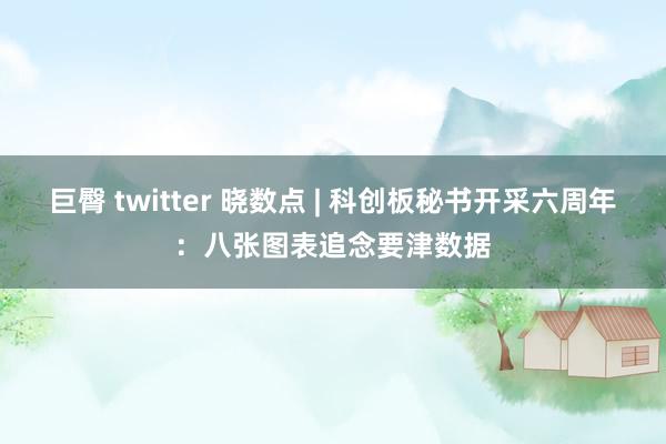 巨臀 twitter 晓数点 | 科创板秘书开采六周年：八张图表追念要津数据