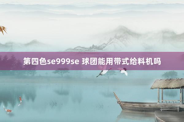 第四色se999se 球团能用带式给料机吗