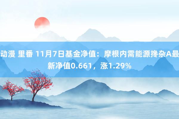 动漫 里番 11月7日基金净值：摩根内需能源搀杂A最新净值0.661，涨1.29%