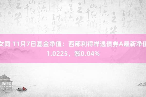 女同 11月7日基金净值：西部利得祥逸债券A最新净值1.0225，涨0.04%