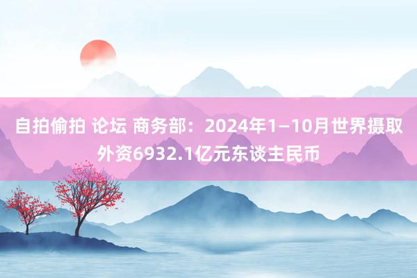 自拍偷拍 论坛 商务部：2024年1—10月世界摄取外资6932.1亿元东谈主民币