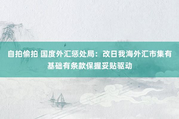 自拍偷拍 国度外汇惩处局：改日我海外汇市集有基础有条款保握妥贴驱动