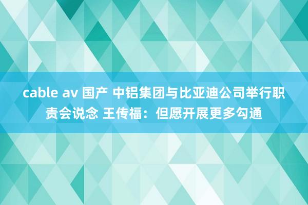 cable av 国产 中铝集团与比亚迪公司举行职责会说念 王传福：但愿开展更多勾通