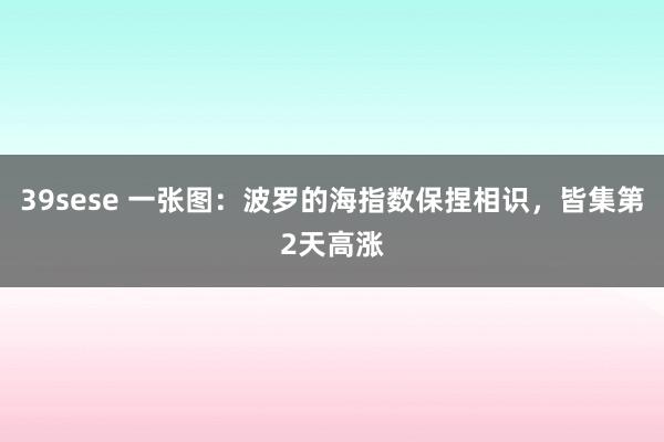 39sese 一张图：波罗的海指数保捏相识，皆集第2天高涨