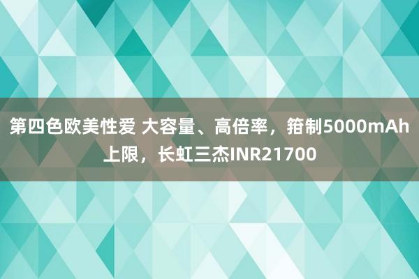 第四色欧美性爱 大容量、高倍率，箝制5000mAh上限，长虹三杰INR21700