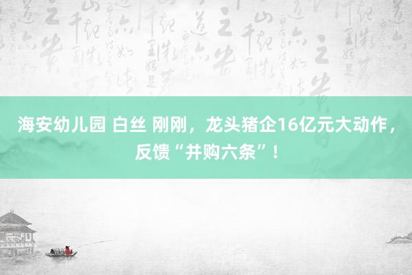 海安幼儿园 白丝 刚刚，龙头猪企16亿元大动作，反馈“并购六条”！