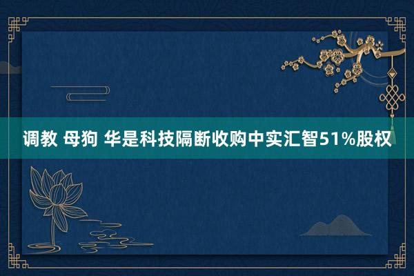 调教 母狗 华是科技隔断收购中实汇智51%股权