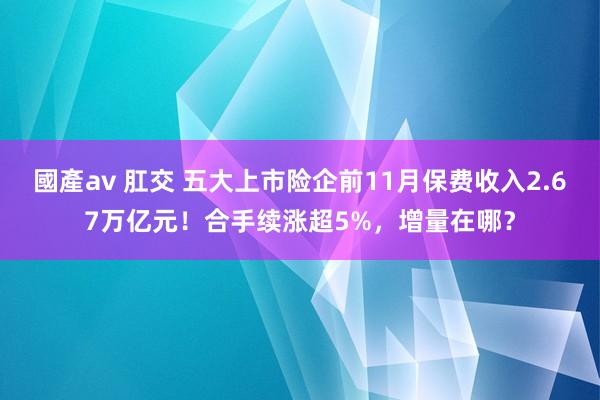 國產av 肛交 五大上市险企前11月保费收入2.67万亿元！合手续涨超5%，增量在哪？