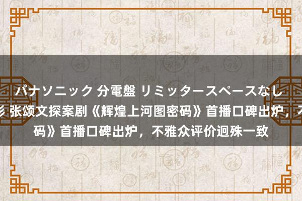 パナソニック 分電盤 リミッタースペースなし 露出・半埋込両用形 张颂文探案剧《辉煌上河图密码》首播口碑出炉，不雅众评价迥殊一致