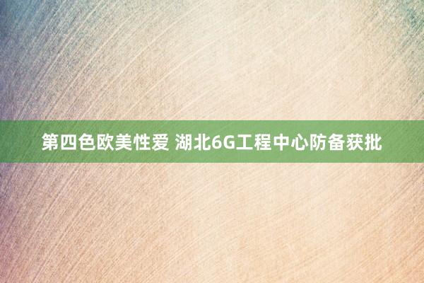 第四色欧美性爱 湖北6G工程中心防备获批