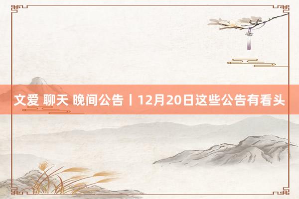 文爱 聊天 晚间公告丨12月20日这些公告有看头