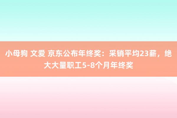 小母狗 文爱 京东公布年终奖：采销平均23薪，绝大大量职工5-8个月年终奖