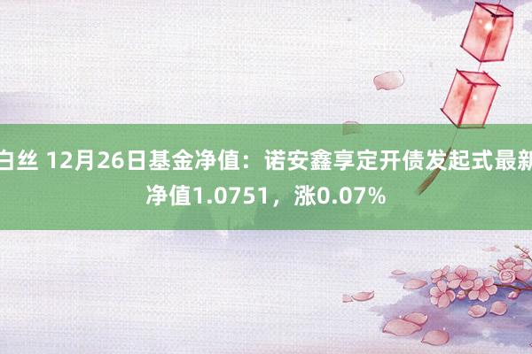 白丝 12月26日基金净值：诺安鑫享定开债发起式最新净值1.0751，涨0.07%