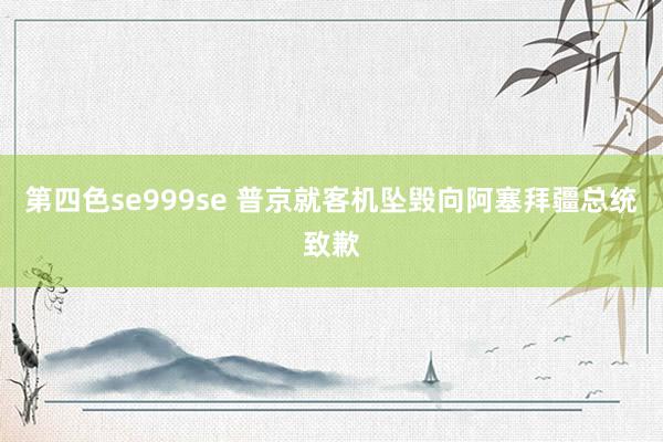 第四色se999se 普京就客机坠毁向阿塞拜疆总统致歉