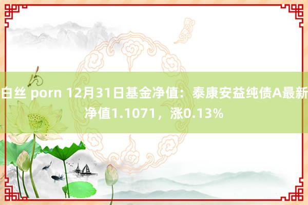 白丝 porn 12月31日基金净值：泰康安益纯债A最新净值1.1071，涨0.13%