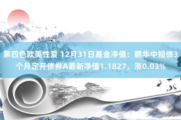 第四色欧美性爱 12月31日基金净值：鹏华中短债3个月定开债券A最新净值1.1827，涨0.03%