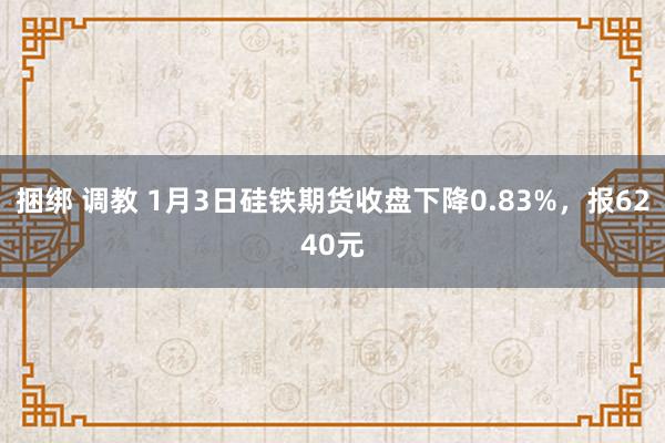 捆绑 调教 1月3日硅铁期货收盘下降0.83%，报6240元