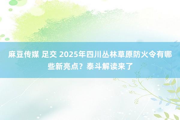 麻豆传媒 足交 2025年四川丛林草原防火令有哪些新亮点？泰斗解读来了