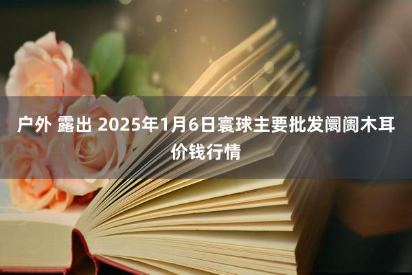 户外 露出 2025年1月6日寰球主要批发阛阓木耳价钱行情