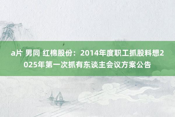 a片 男同 红棉股份：2014年度职工抓股料想2025年第一次抓有东谈主会议方案公告