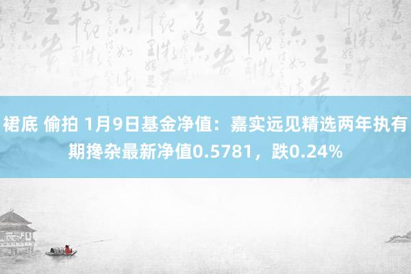 裙底 偷拍 1月9日基金净值：嘉实远见精选两年执有期搀杂最新净值0.5781，跌0.24%