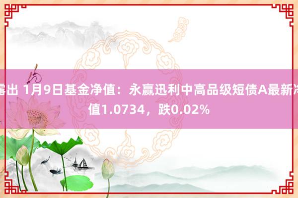 露出 1月9日基金净值：永赢迅利中高品级短债A最新净值1.0734，跌0.02%